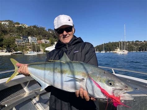 sydney harbour fishing charters|The 10 BEST Fishing Charters in Sydney Harbour (Spring 2024).